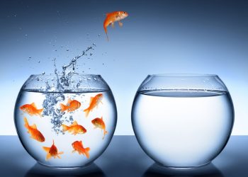 ¿Qué es el cambio?