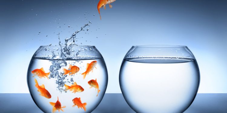 ¿Qué es el cambio?