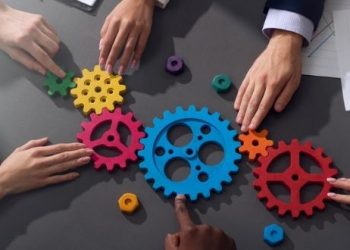 Formando un Equipo de Trabajo Sólido: Integración, Visión y Roles Definidos